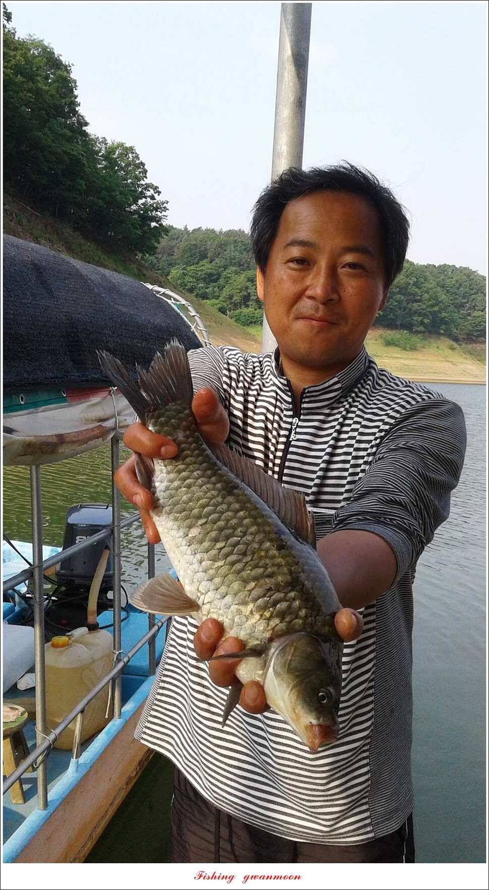 한버들 445 cm신매병호돌감실리곡화곡지달천강 조황 (조황조행기 - 특파원조황)