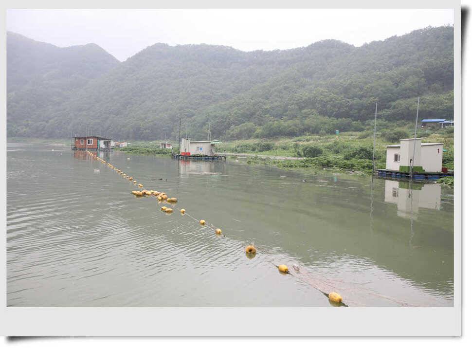 충주호 명서 4짜소식 (조황조행기 - 특파원조황)