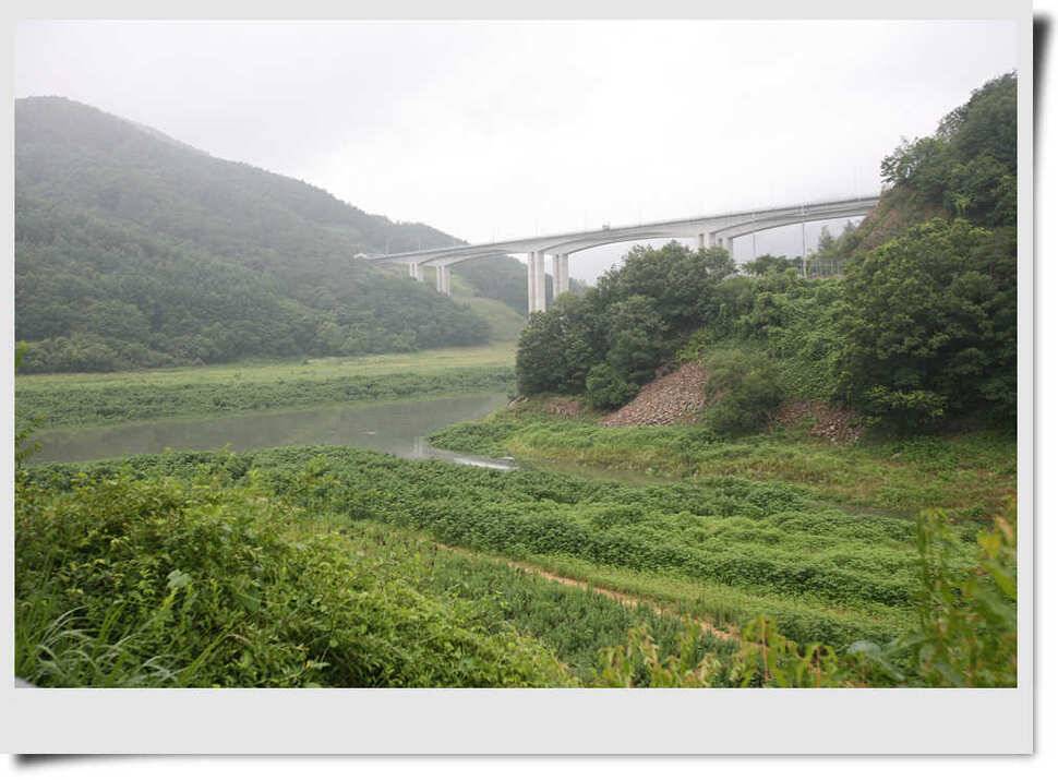 충주호 명서 4짜소식 (조황조행기 - 특파원조황)