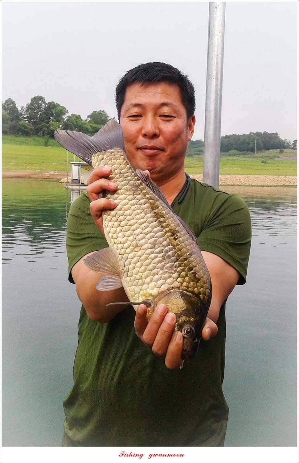 한버들 445 cm신매병호돌감실리곡화곡지달천강 조황 (조황조행기 - 특파원조황)