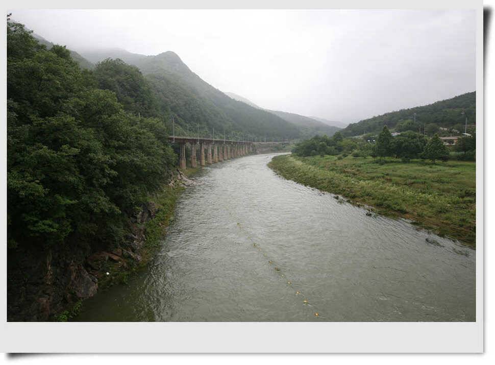 충주호 명서 4짜소식 (조황조행기 - 특파원조황)