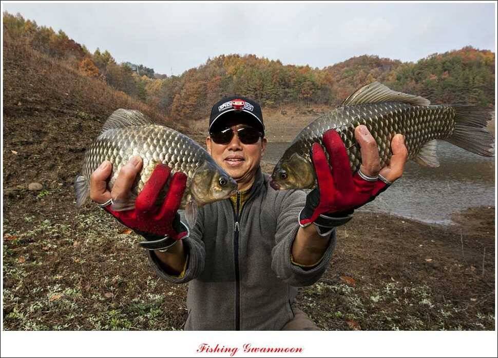 실리곡 늘푸른 노지 조황 (조황조행기 - 특파원조황)