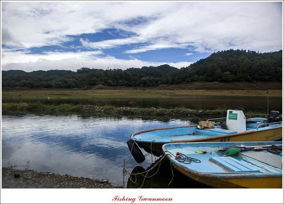 제일실리곡돌감 월척 조황 (조황조행기 - 특파원조황)