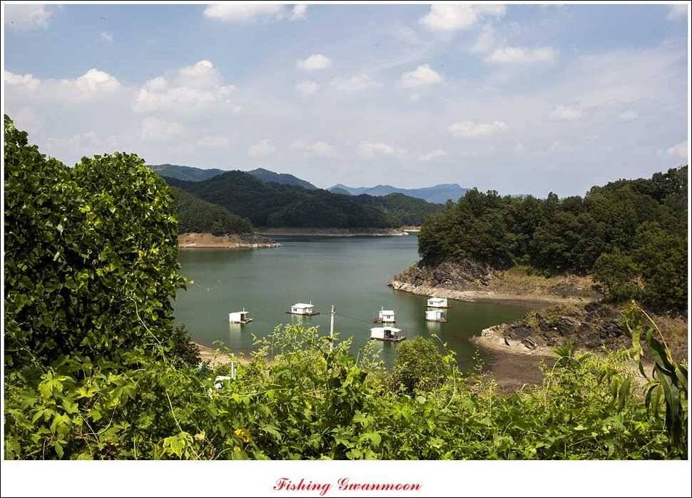 가을 문턱에 들어서는 충주호 (조황조행기 - 특파원조황)