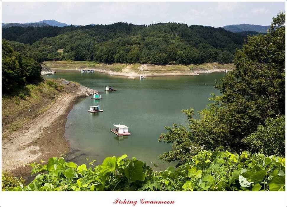 가을 문턱에 들어서는 충주호 (조황조행기 - 특파원조황)