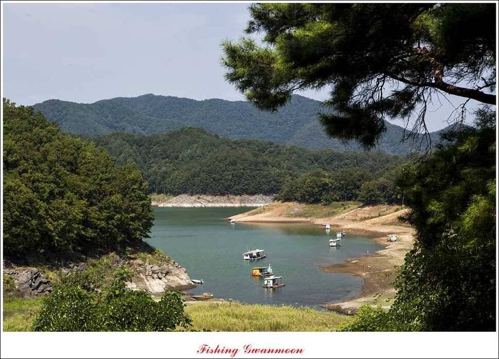 가을 문턱에 들어서는 충주호 (조황조행기 - 특파원조황)