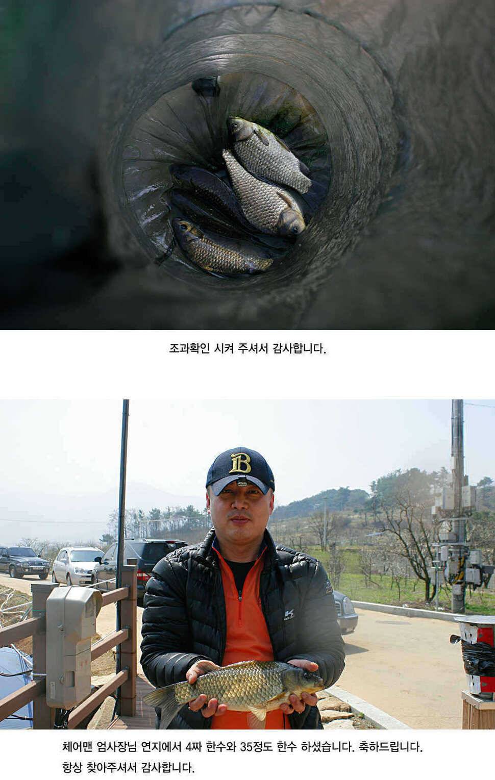 청도권 4짜소식 호조황소식 (조황조행기 - 특파원조황)