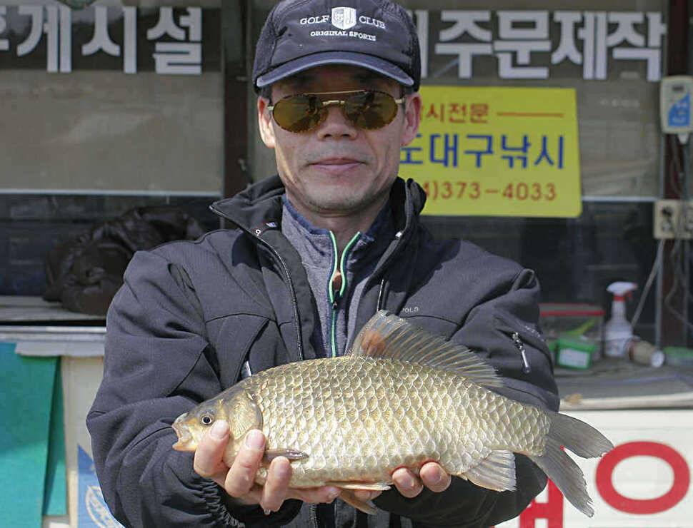 청도권 허리급 월척들이 (조황조행기 - 특파원조황)