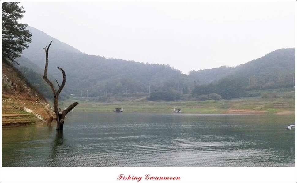 한버들 사짜실리곡 화곡지 월척 (조황조행기 - 특파원조황)