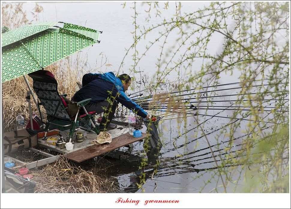 충주괴산권 호조황 소식 (조황조행기 - 특파원조황)
