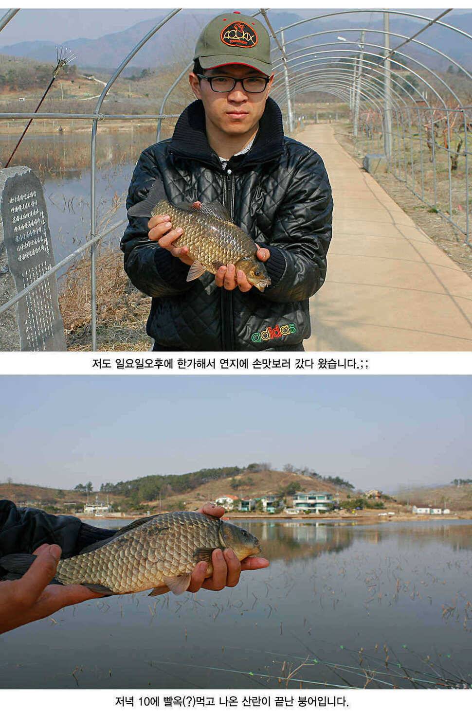 청도권 허리급 월척들이 (조황조행기 - 특파원조황)