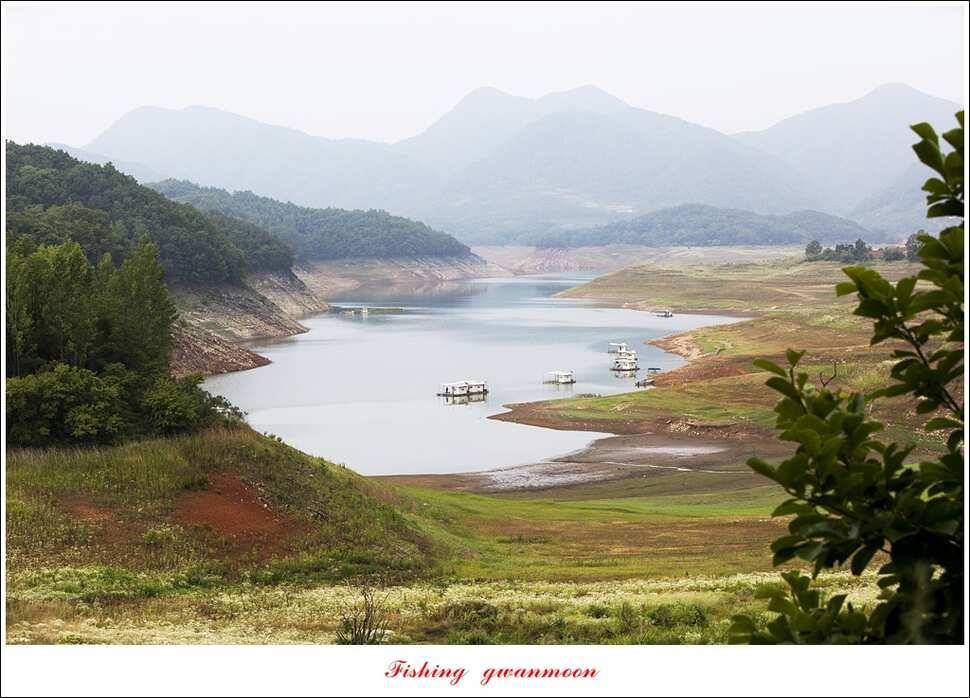 한버들 마릿수 월척 조황 (조황조행기 - 특파원조황)