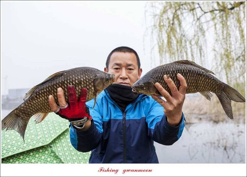 충주괴산권 호조황 소식 (조황조행기 - 특파원조황)