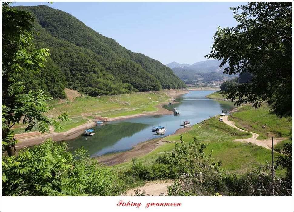한버들 445 cm신매병호돌감실리곡화곡지달천강 조황 (조황조행기 - 특파원조황)