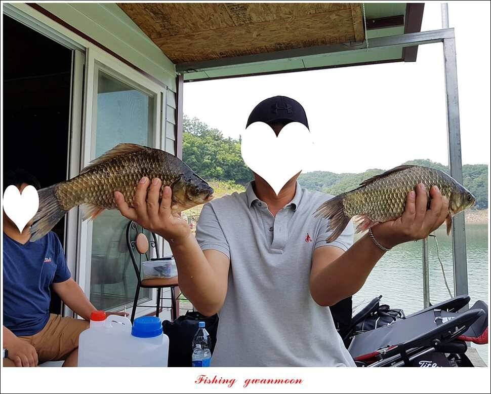 늘푸른 395 cm병호 35 cm한버들 월척 조황 (조황조행기 - 특파원조황)