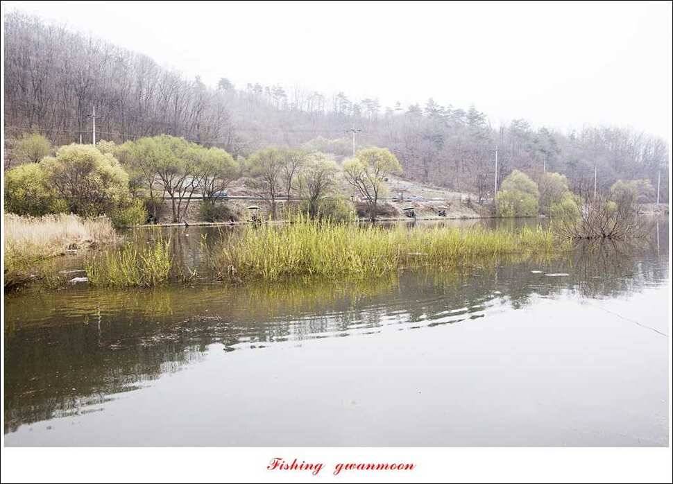 충주괴산권 호조황 소식 (조황조행기 - 특파원조황)