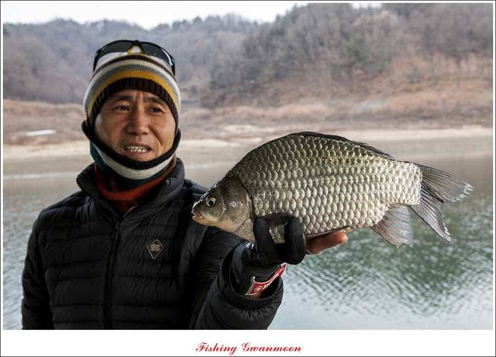 신매 41 cm40 cm 제일 짱가네한버들 월척 (조황조행기 - 특파원조황)