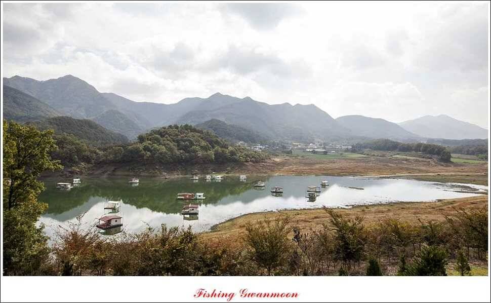 돌감 좌대 월척제일 낚시터 조황 (조황조행기 - 특파원조황)