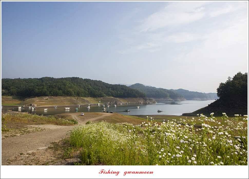 늘푸른 395 cm병호 35 cm한버들 월척 조황 (조황조행기 - 특파원조황)