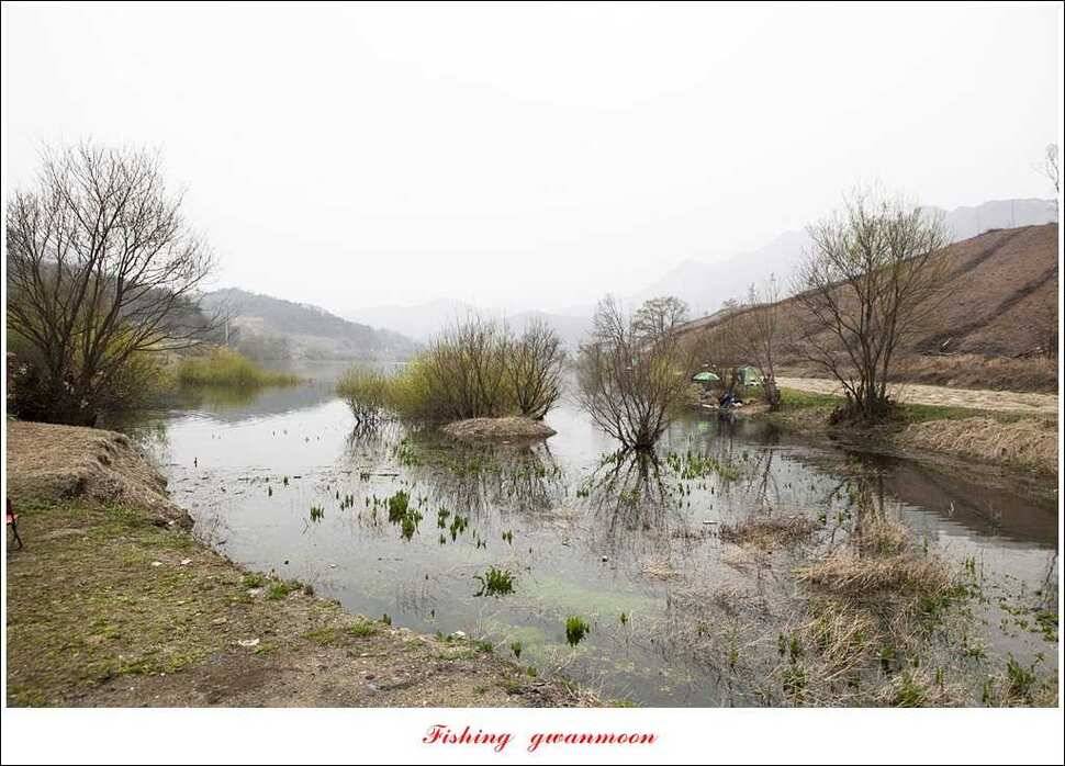 충주괴산권 호조황 소식 (조황조행기 - 특파원조황)