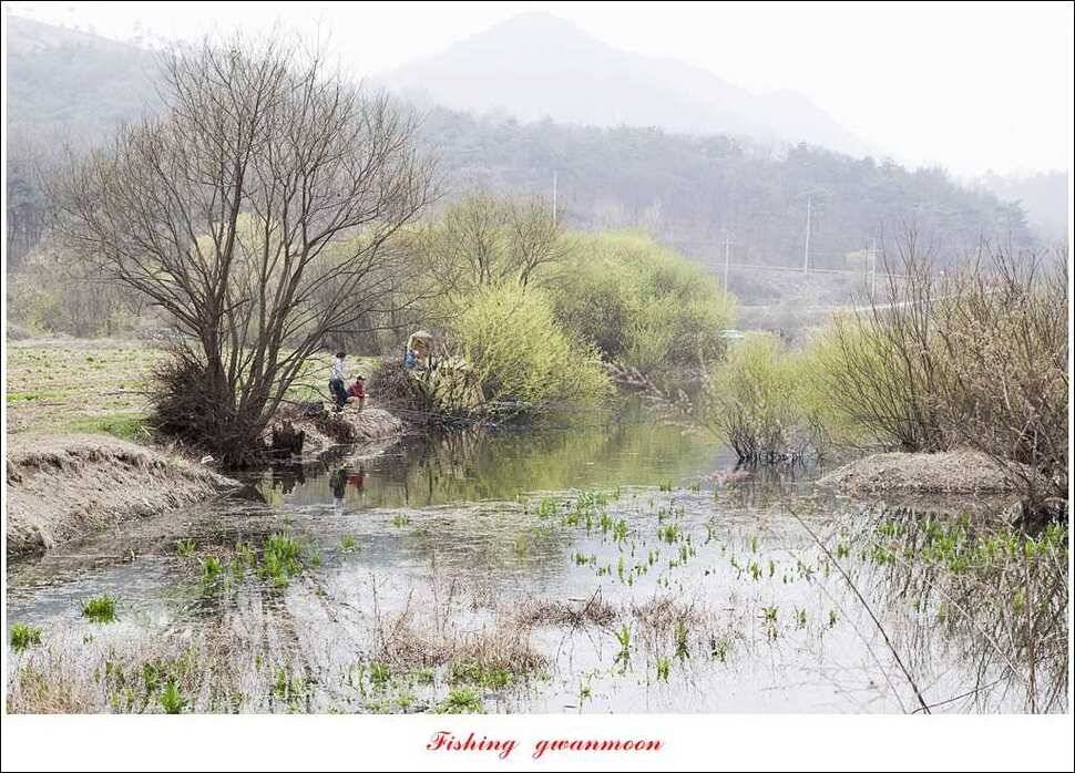 충주괴산권 호조황 소식 (조황조행기 - 특파원조황)