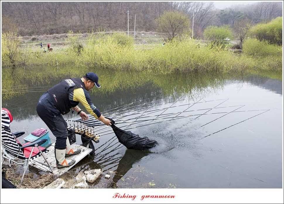 충주괴산권 호조황 소식 (조황조행기 - 특파원조황)