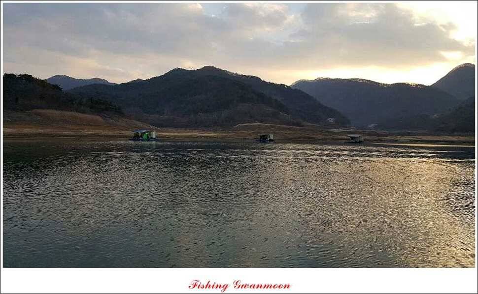 신매 41 cm40 cm 제일 짱가네한버들 월척 (조황조행기 - 특파원조황)