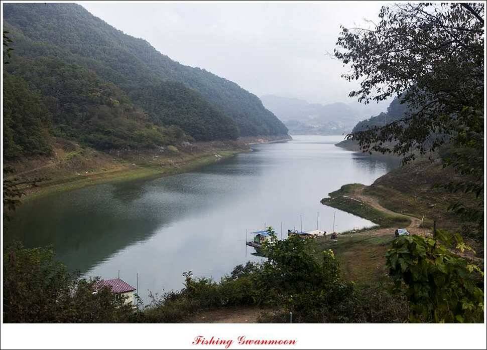 제일실리곡돌감 월척 조황 (조황조행기 - 특파원조황)