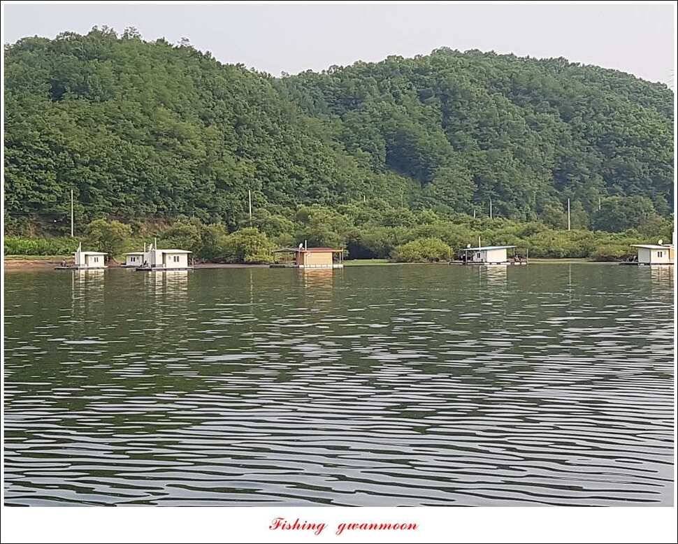 한버들 445 cm신매병호돌감실리곡화곡지달천강 조황 (조황조행기 - 특파원조황)