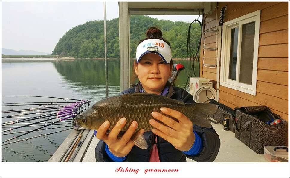 한버들 445 cm신매병호돌감실리곡화곡지달천강 조황 (조황조행기 - 특파원조황)