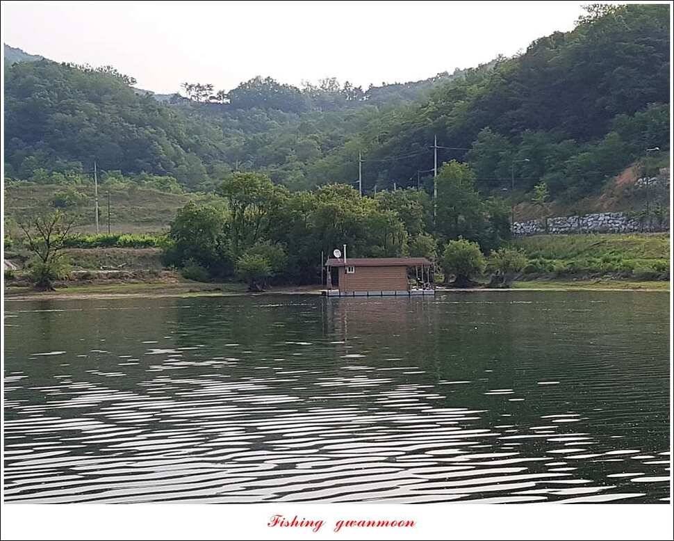 한버들 445 cm신매병호돌감실리곡화곡지달천강 조황 (조황조행기 - 특파원조황)