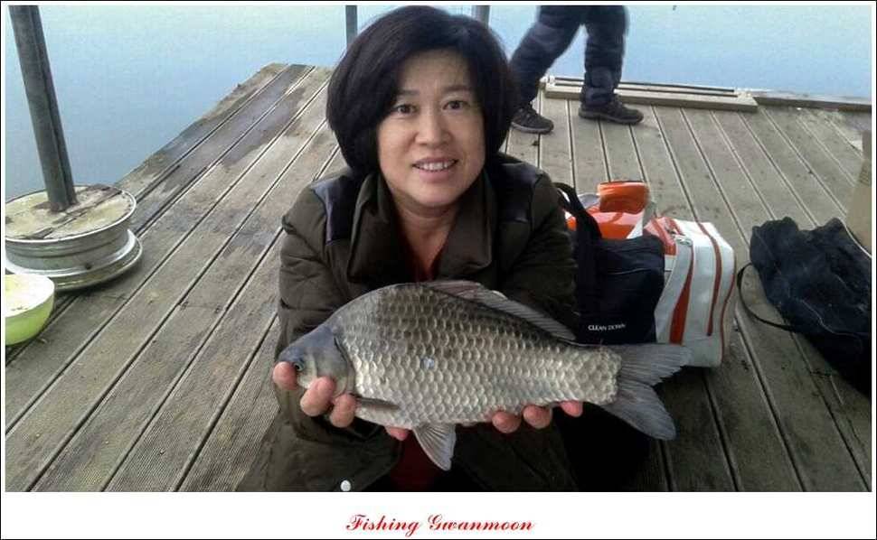 신매 41 cm40 cm 제일 짱가네한버들 월척 (조황조행기 - 특파원조황)