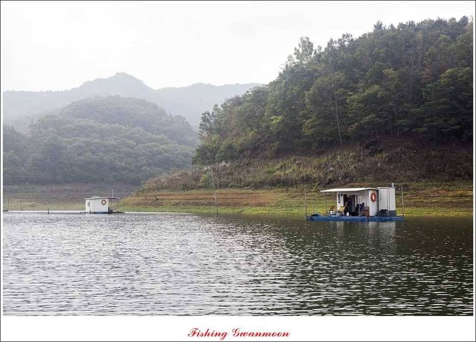 제일실리곡돌감 월척 조황 (조황조행기 - 특파원조황)