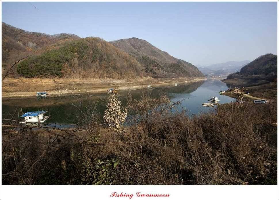 실리곡돌감짱가네한버들 조황 (조황조행기 - 특파원조황)