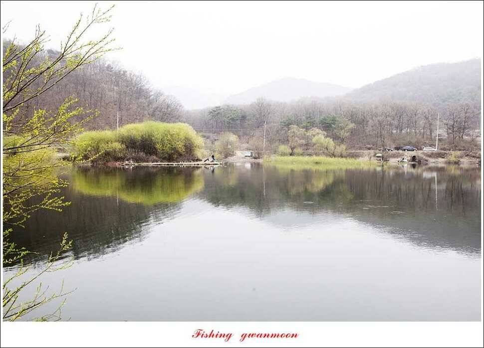 충주괴산권 호조황 소식 (조황조행기 - 특파원조황)