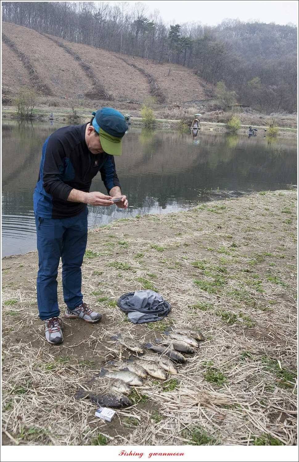 충주괴산권 호조황 소식 (조황조행기 - 특파원조황)
