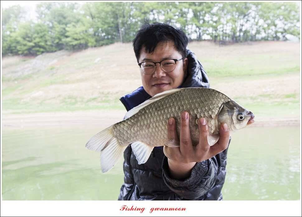 한버들실리곡돌감 월척 (조황조행기 - 특파원조황)