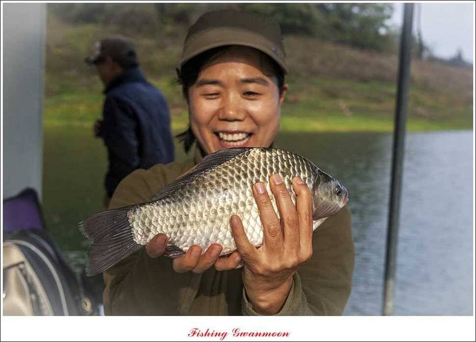 제일실리곡돌감 월척 조황 (조황조행기 - 특파원조황)