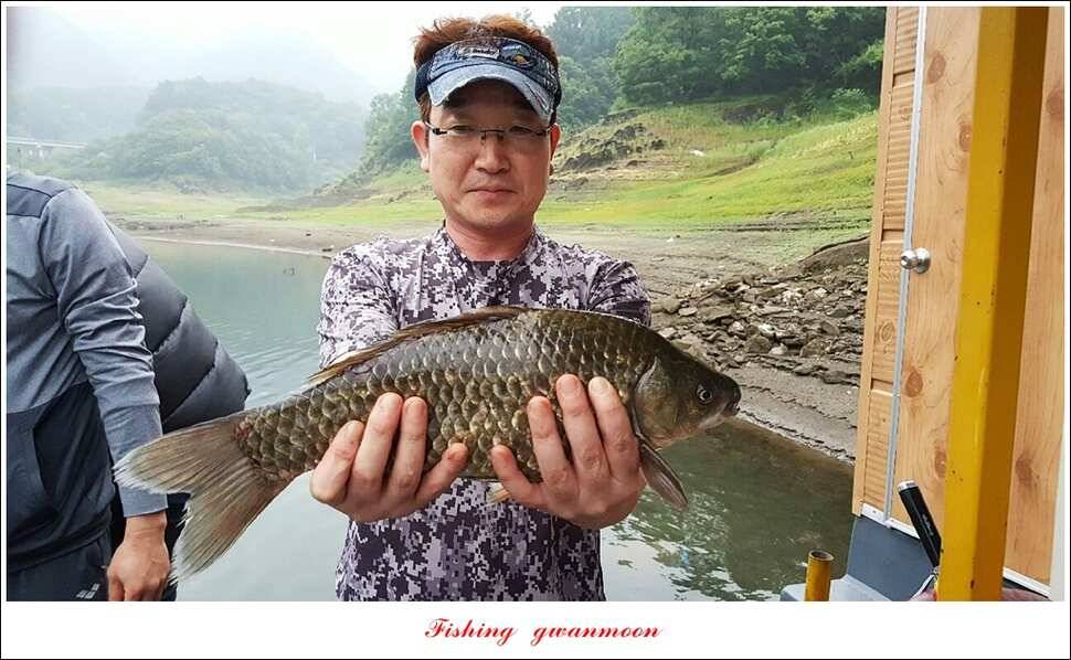 늘푸른 42 cm돌감한버들실리곡 월척 조황 (조황조행기 - 특파원조황)