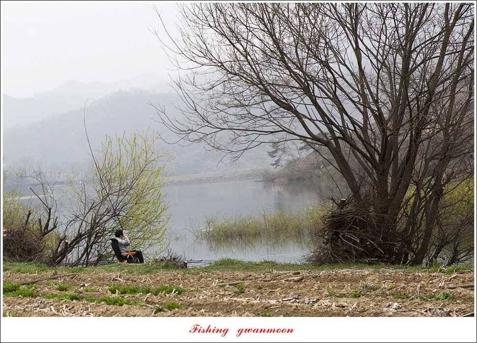 충주괴산권 호조황 소식 (조황조행기 - 특파원조황)