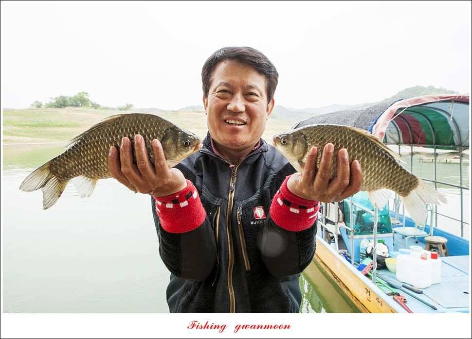 한버들실리곡돌감 월척 (조황조행기 - 특파원조황)