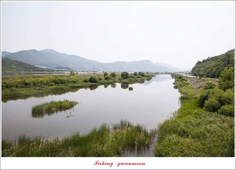 한버들 445 cm신매병호돌감실리곡화곡지달천강 조황 (조황조행기 - 특파원조황)