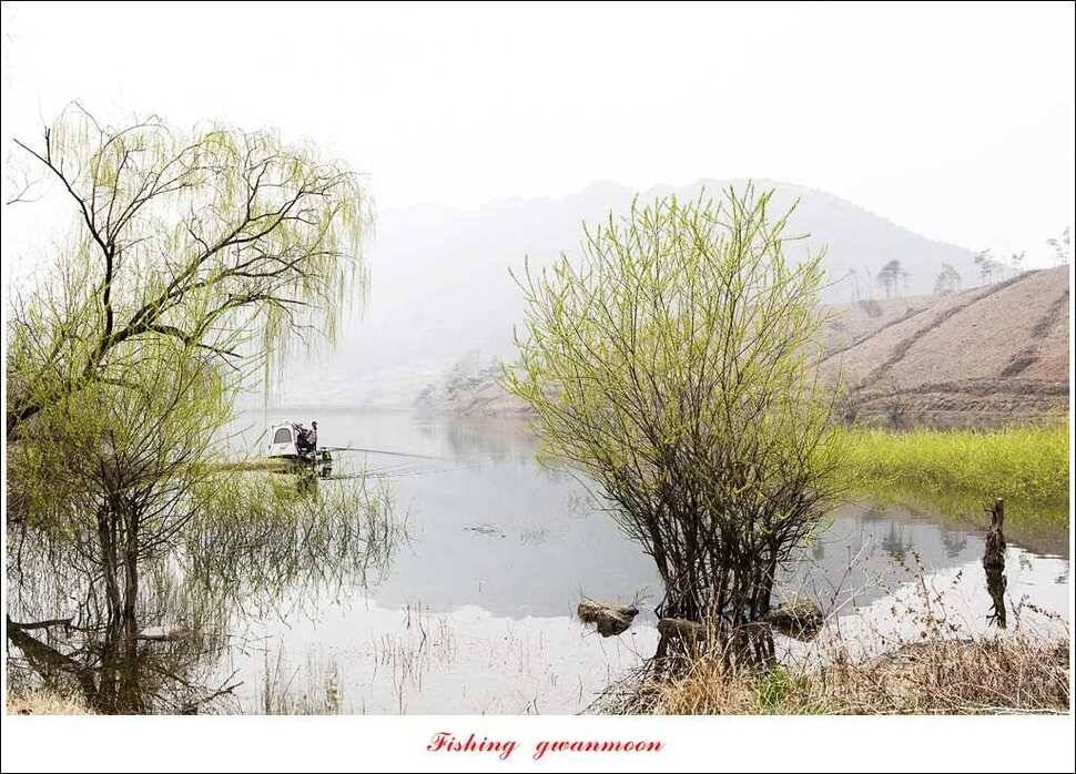 충주괴산권 호조황 소식 (조황조행기 - 특파원조황)