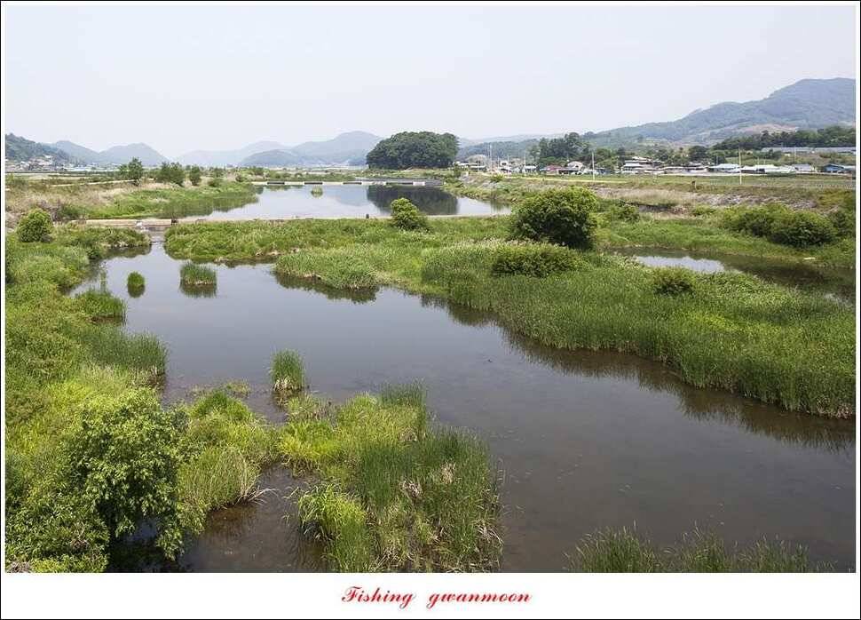 한버들 445 cm신매병호돌감실리곡화곡지달천강 조황 (조황조행기 - 특파원조황)