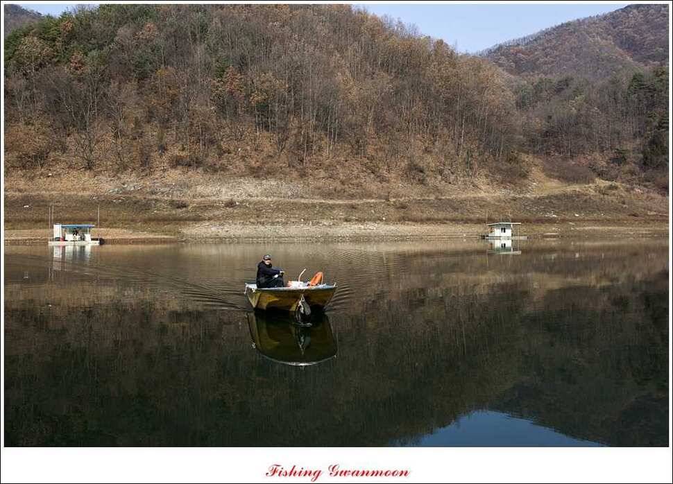 실리곡돌감짱가네한버들 조황 (조황조행기 - 특파원조황)