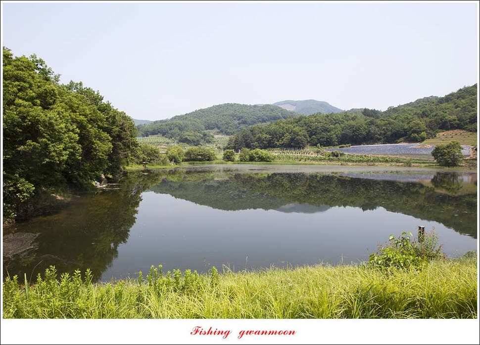 한버들 445 cm신매병호돌감실리곡화곡지달천강 조황 (조황조행기 - 특파원조황)