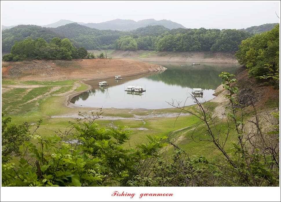 한버들실리곡돌감 월척 (조황조행기 - 특파원조황)