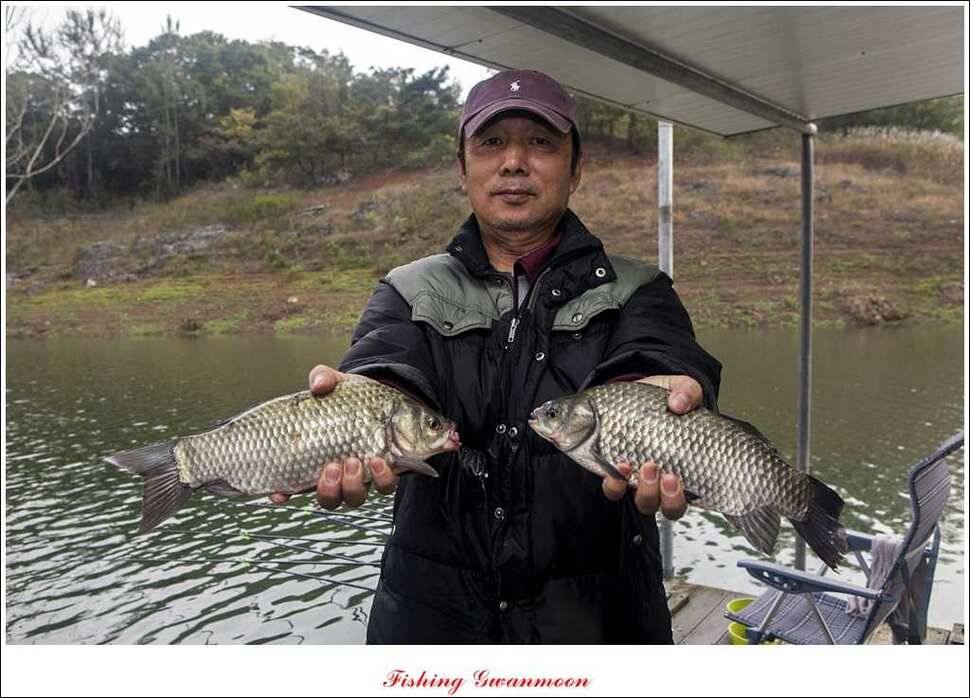제일실리곡돌감 월척 조황 (조황조행기 - 특파원조황)