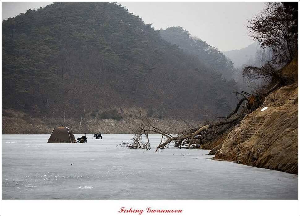충주권 빙어 조황 (조황조행기 - 특파원조황)