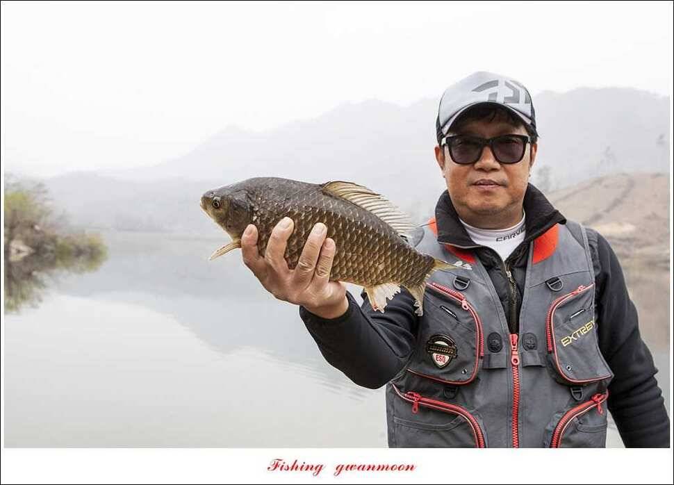 충주괴산권 호조황 소식 (조황조행기 - 특파원조황)